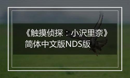 《触摸侦探：小沢里奈》 简体中文版NDS版
