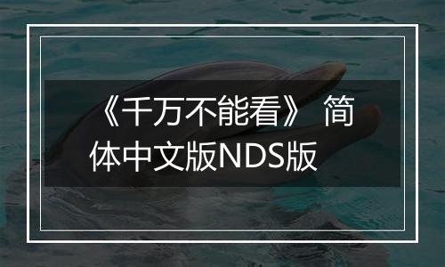 《千万不能看》 简体中文版NDS版