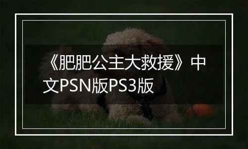 《肥肥公主大救援》中文PSN版PS3版