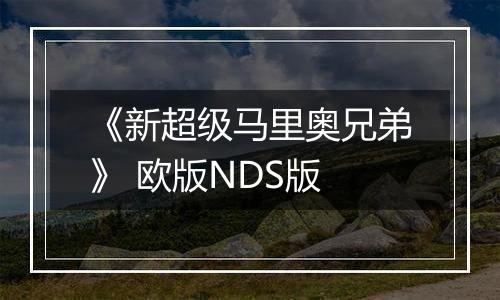 《新超级马里奥兄弟》 欧版NDS版