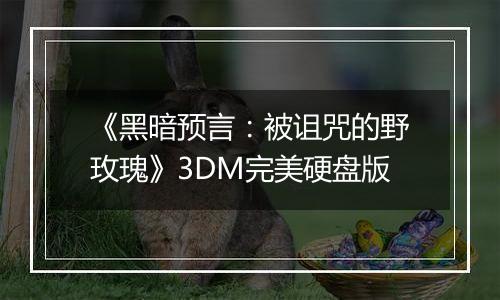 《黑暗预言:被诅咒的野玫瑰》3DM完美硬盘版