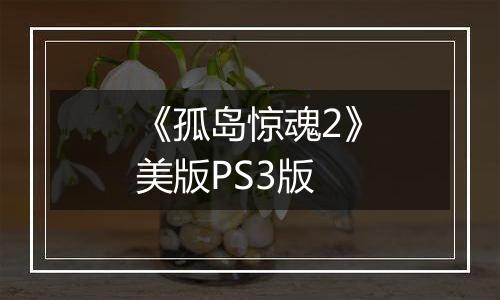 《孤岛惊魂2》美版PS3版