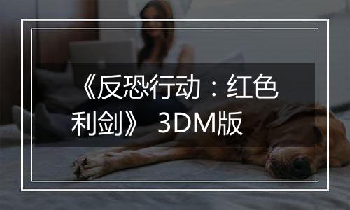 《反恐行动：红色利剑》 3DM版
