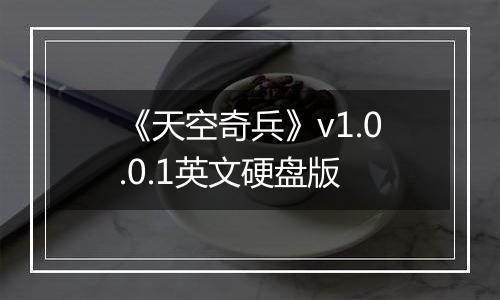 《天空奇兵》v1.0.0.1英文硬盘版