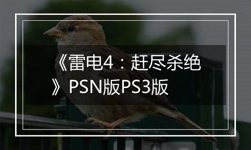 《雷电4：赶尽杀绝》PSN版PS3版