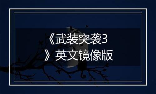 《武装突袭3》英文镜像版