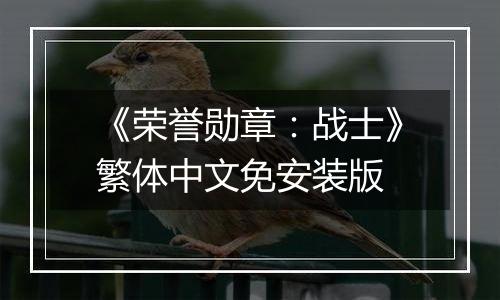 《荣誉勋章：战士》繁体中文免安装版
