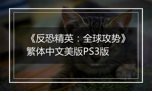 《反恐精英：全球攻势》繁体中文美版PS3版
