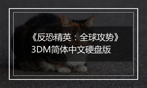 《反恐精英：全球攻势》 3DM简体中文硬盘版