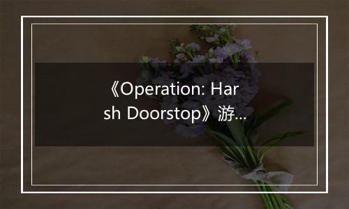 《Operation: Harsh Doorstop》游戏库