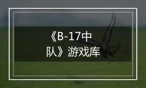 《B-17中队》游戏库
