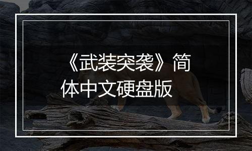 《武装突袭》简体中文硬盘版