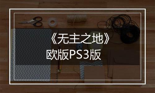 《无主之地》欧版PS3版