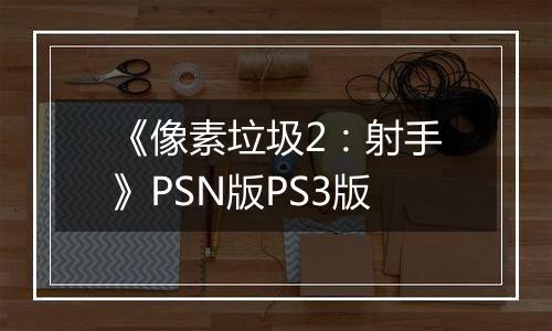 《像素垃圾2：射手》PSN版PS3版