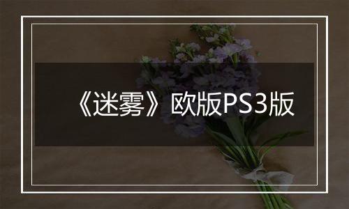 《迷雾》欧版PS3版