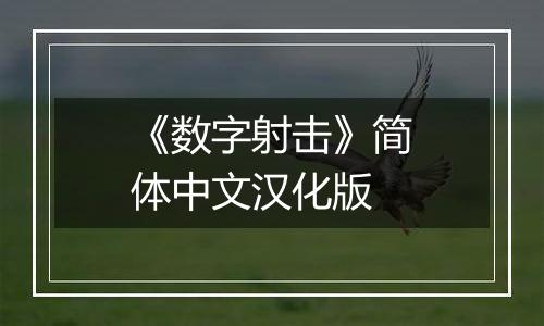 《数字射击》简体中文汉化版