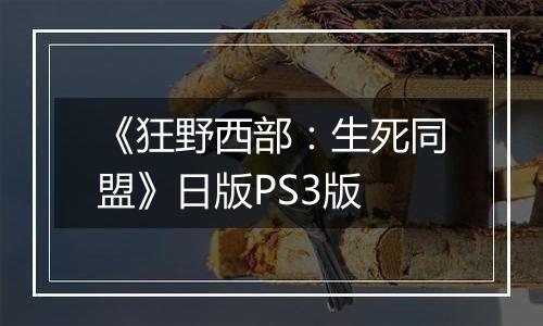 《狂野西部：生死同盟》日版PS3版