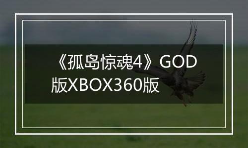 《孤岛惊魂4》GOD版XBOX360版