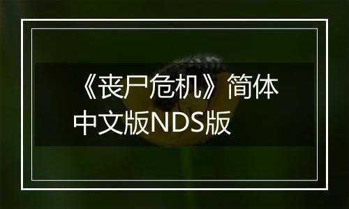 《丧尸危机》简体中文版NDS版