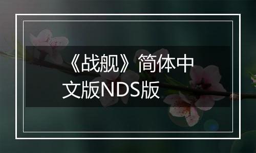 《战舰》简体中文版NDS版