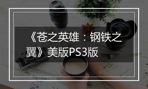 《苍之英雄：钢铁之翼》美版PS3版