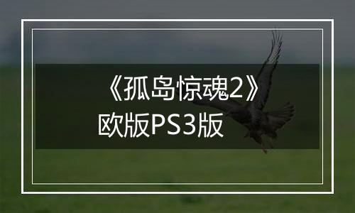 《孤岛惊魂2》欧版PS3版