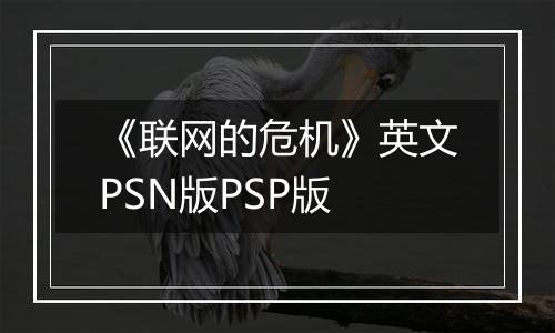 《联网的危机》英文PSN版PSP版