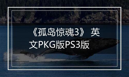 《孤岛惊魂3》 英文PKG版PS3版