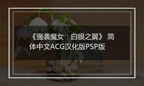 《强袭魔女：白银之翼》 简体中文ACG汉化版PSP版