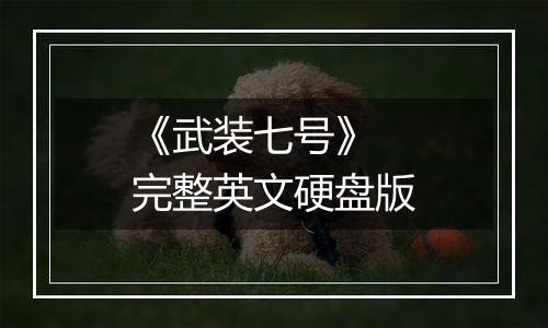 《武装七号》 完整英文硬盘版