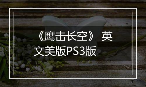 《鹰击长空》 英文美版PS3版