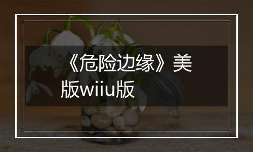 《危险边缘》美版wiiu版