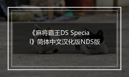 《麻将霸王DS Special》简体中文汉化版NDS版