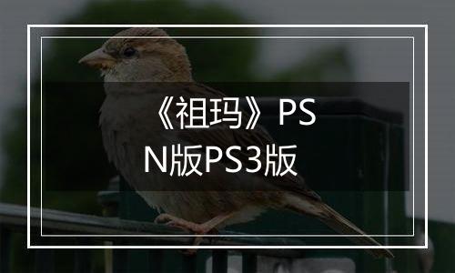 《祖玛》PSN版PS3版