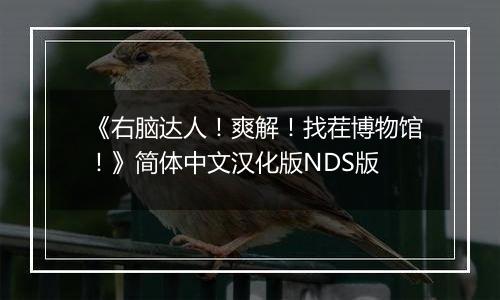 《右脑达人！爽解！找茬博物馆！》简体中文汉化版NDS版