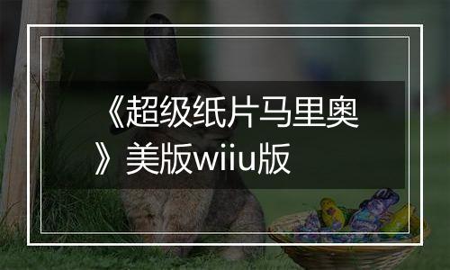 《超级纸片马里奥》美版wiiu版