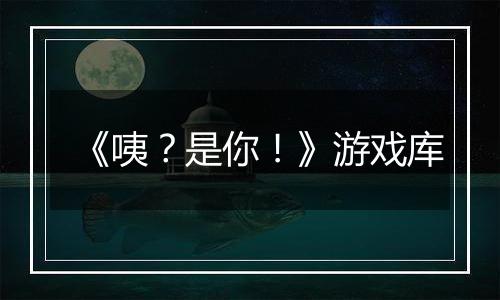 《咦？是你！》游戏库