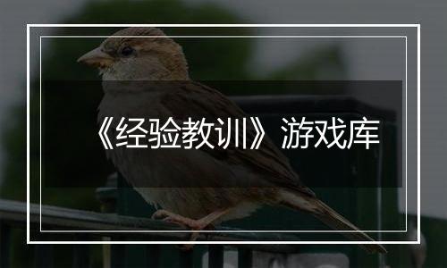 《经验教训》游戏库
