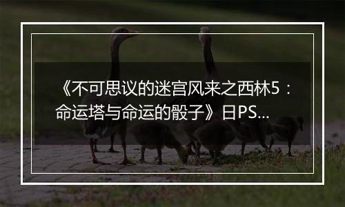 《不可思议的迷宫风来之西林5：命运塔与命运的骰子》日PSV版