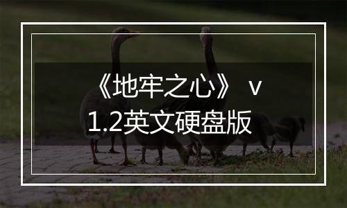 《地牢之心》 v1.2英文硬盘版