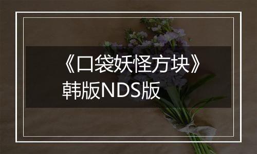 《口袋妖怪方块》 韩版NDS版