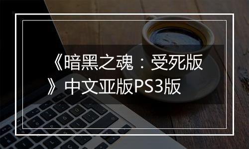《暗黑之魂:受死版》中文亚版PS3版