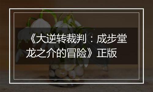 《大逆转裁判:成步堂龙之介的冒险》正版