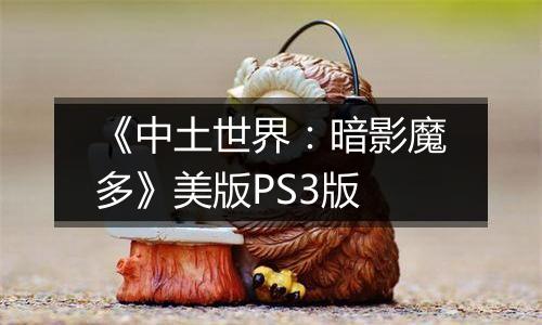 《中土世界：暗影魔多》美版PS3版