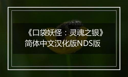 《口袋妖怪：灵魂之银》简体中文汉化版NDS版