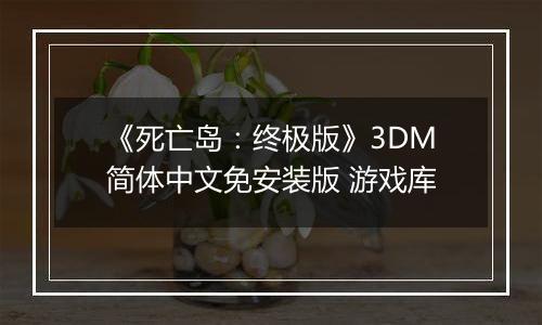《死亡岛：终极版》3DM简体中文免安装版 游戏库