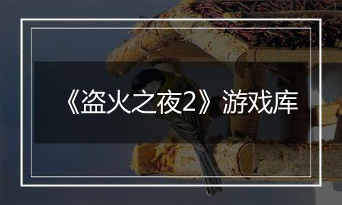 《盗火之夜2》游戏库