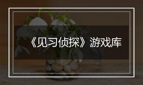 《见习侦探》游戏库
