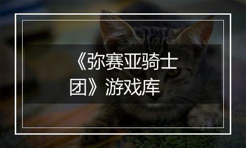 《弥赛亚骑士团》游戏库
