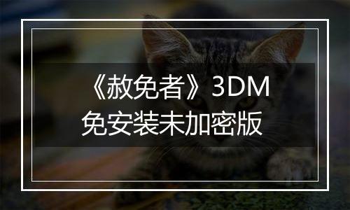 《赦免者》3DM免安装未加密版